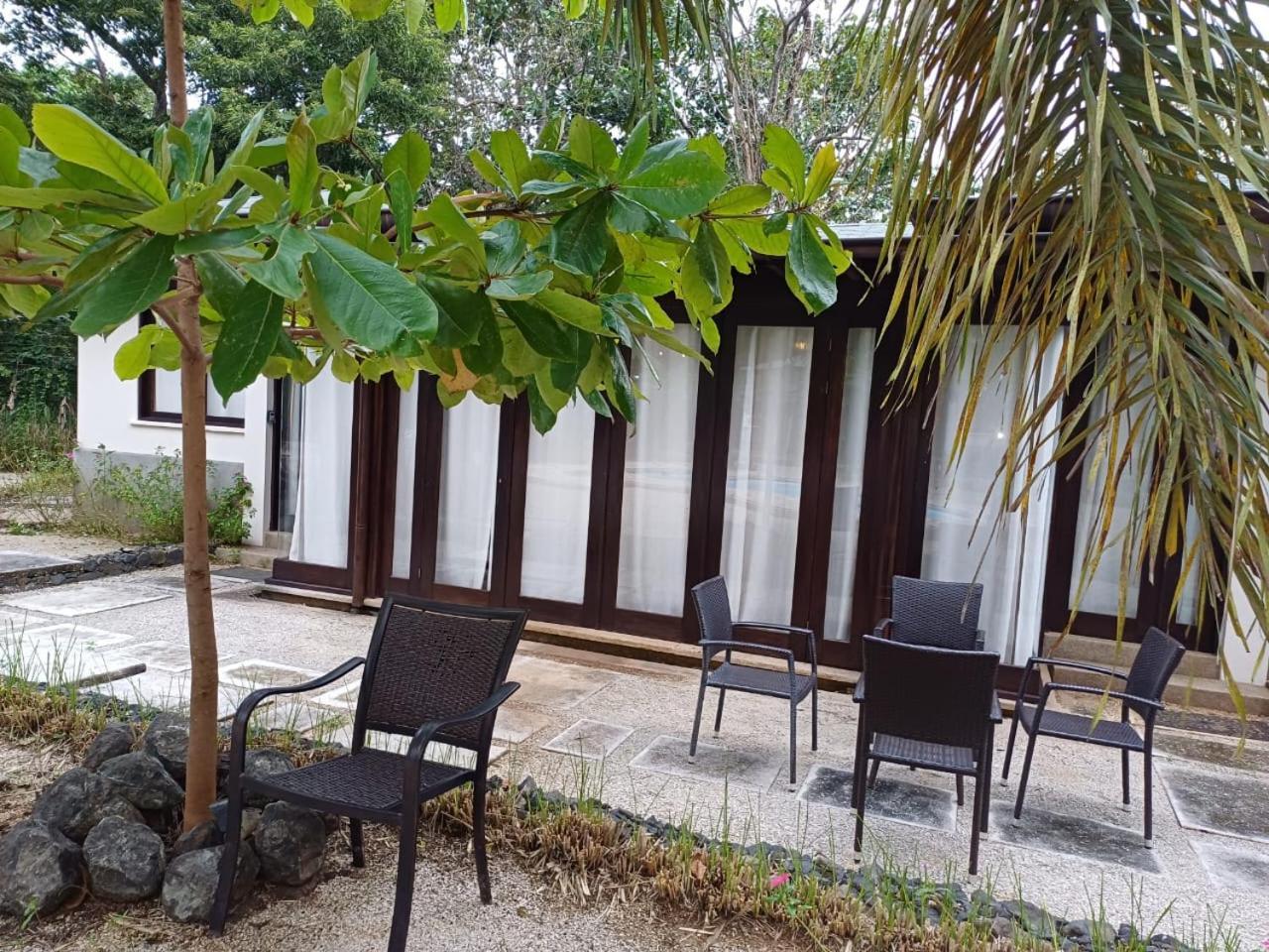 Beach Walk Costa Rica Playa Avellana Exterior photo