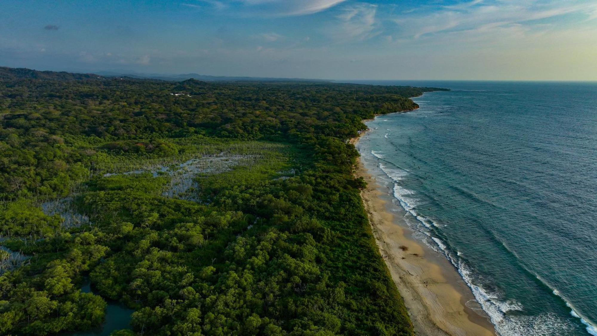 Beach Walk Costa Rica Playa Avellana Exterior photo